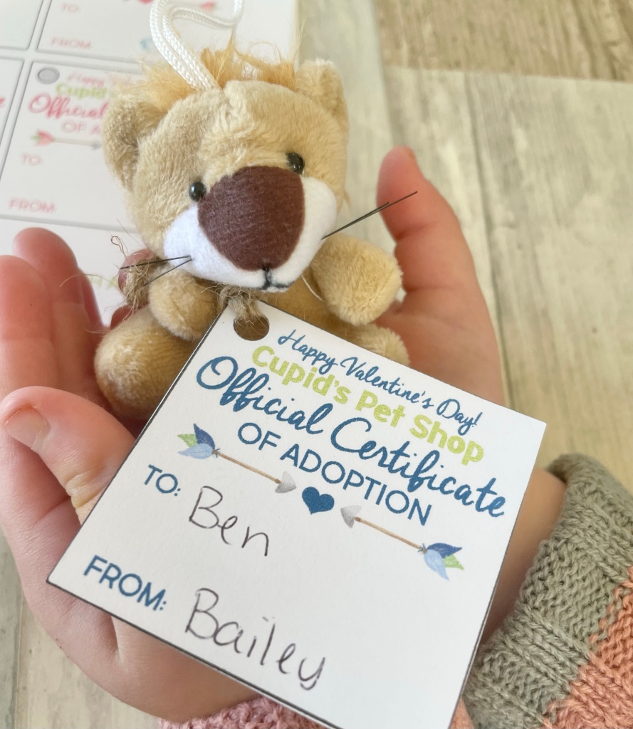 Plushie valentines day ideas, stuffed animal adoption certificate printable 