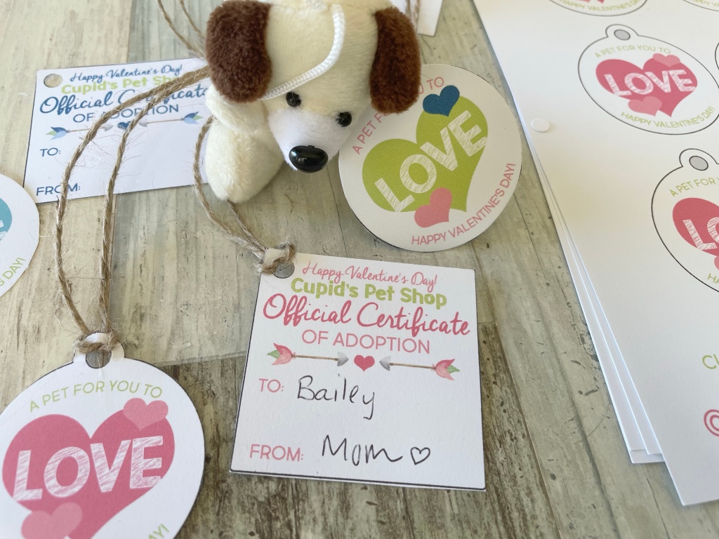 Pet adoption Valentine’s Day plushie ideas from meganhstudio 